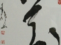 IMGP5072.JPG
