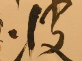 IMGP5074.JPG