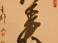 IMGP5075.JPG