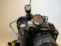 gallary_7_3.jpg